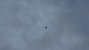 ste_anne_2011_021.jpg