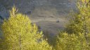 ste_anne_2011_037.jpg