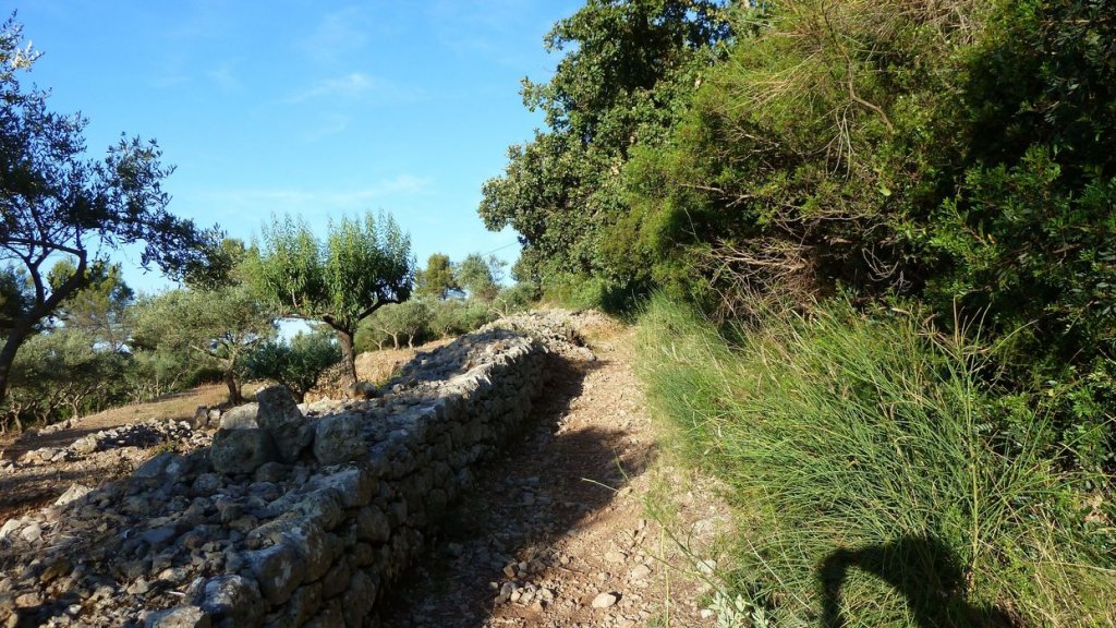 P1090516.JPG