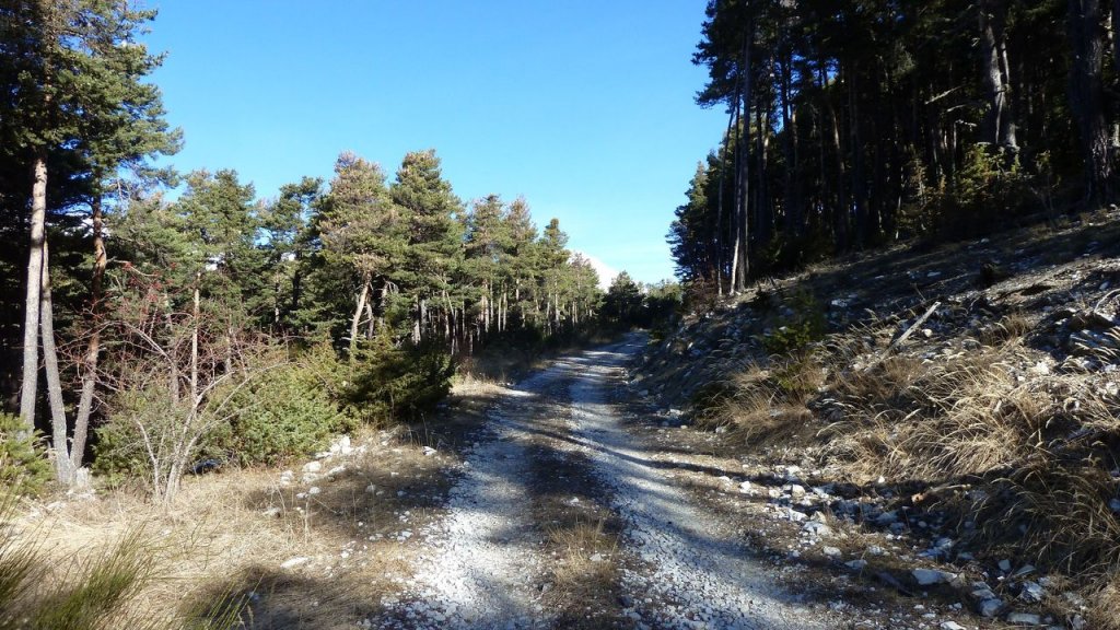 P1160944.JPG