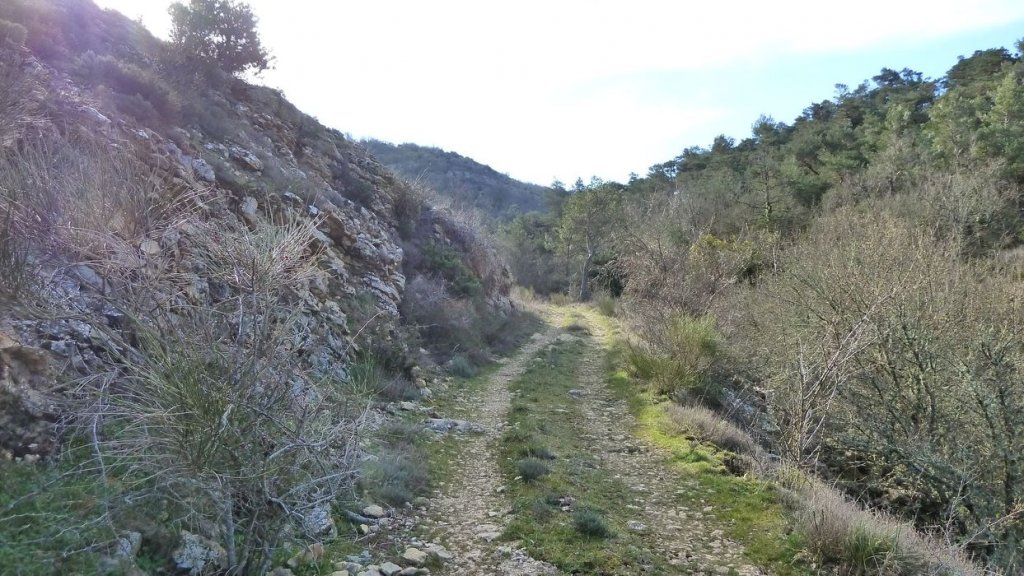 P1110206.JPG