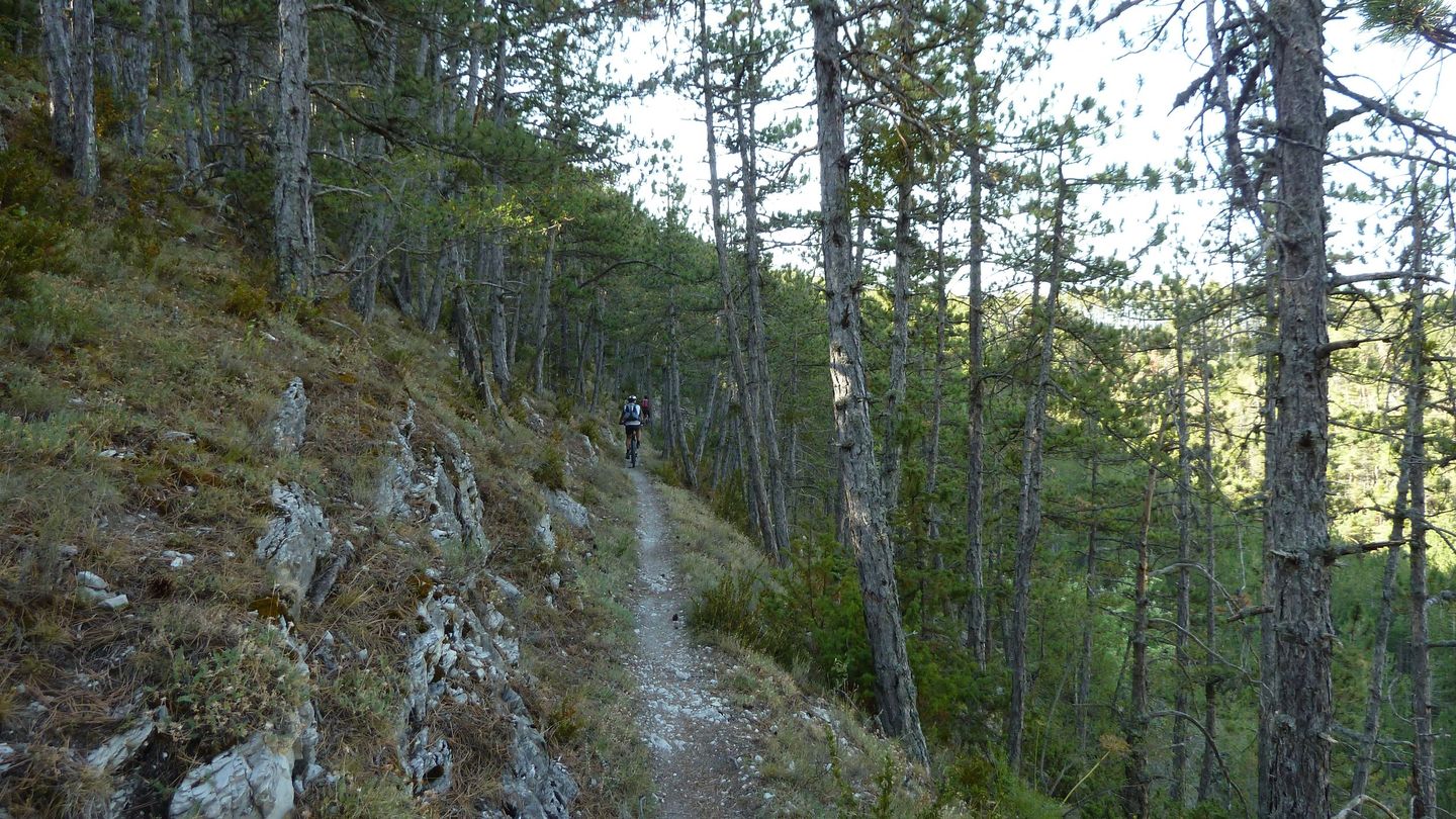 tour_ruinee_2017_052.JPG