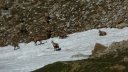 trou_de_laigle_juin_2017_43.JPG