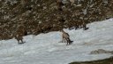 trou_de_laigle_juin_2017_44.JPG
