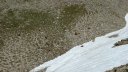 trou_de_laigle_juin_2017_49.JPG