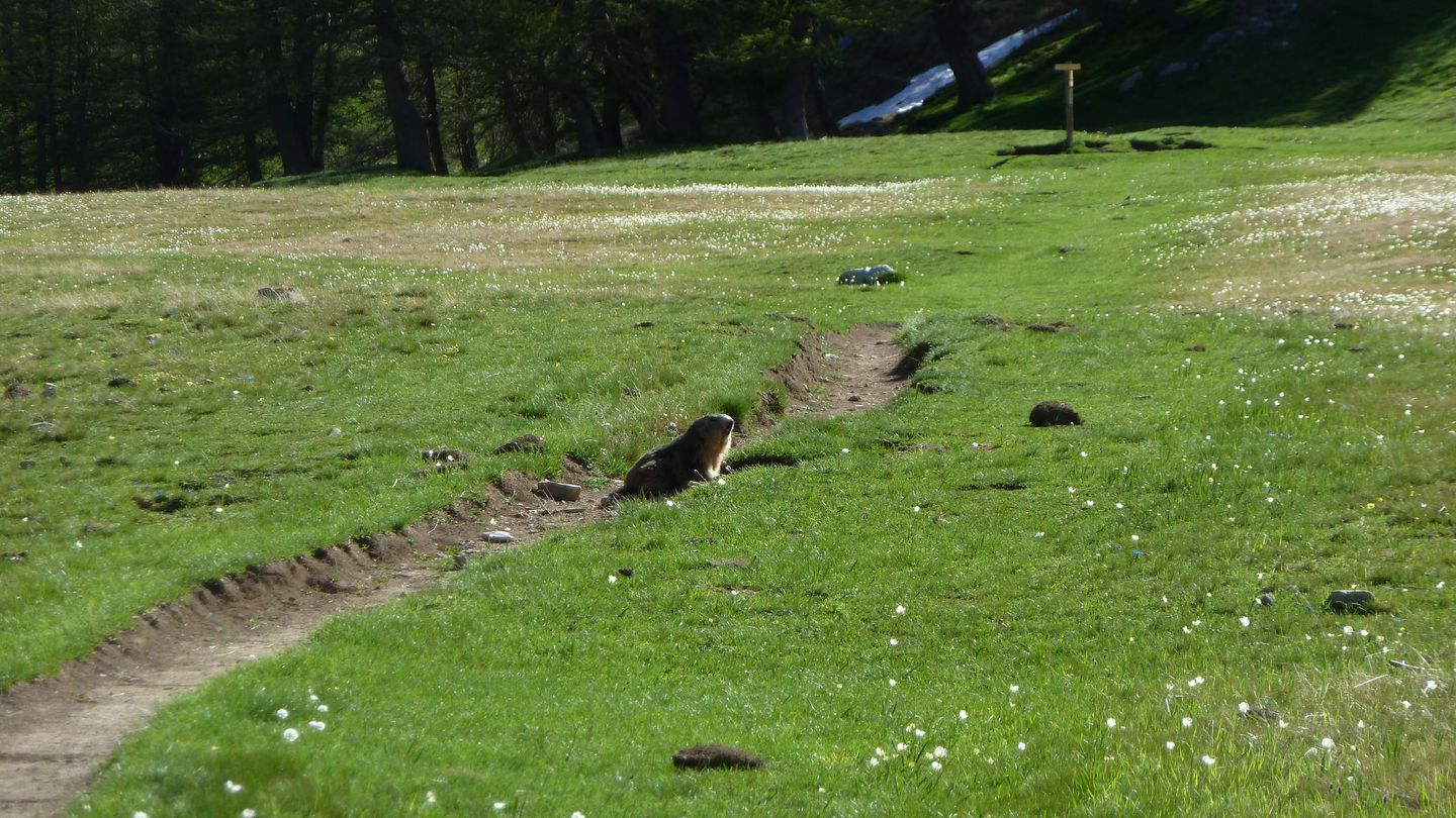 trou_de_laigle_juin_2017_08.JPG