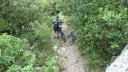 tuny_juillet_2015_119.JPG