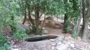 tuny_juillet_2015_151.JPG