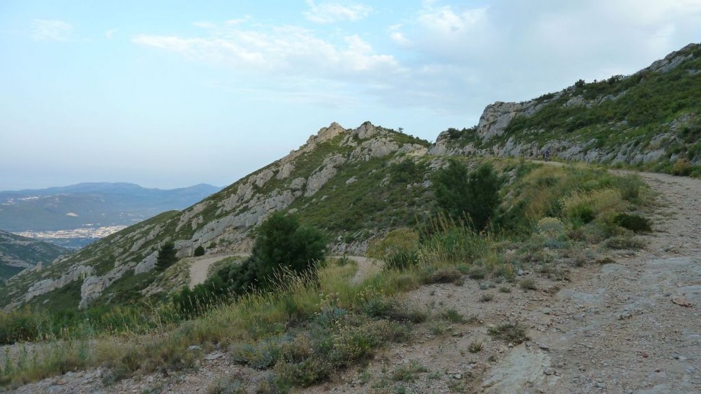 tuny_juillet_2015_069.JPG