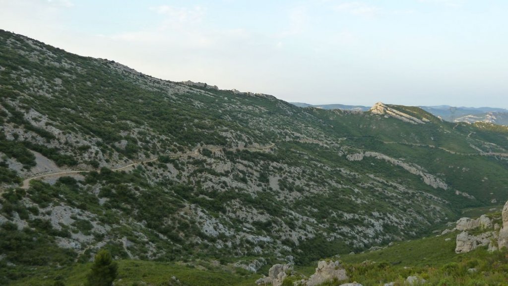 tuny_juillet_2015_071.JPG