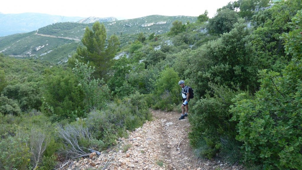 tuny_juillet_2015_079.JPG
