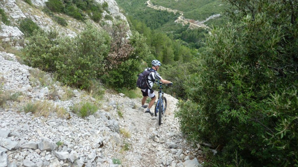 tuny_juillet_2015_113.JPG