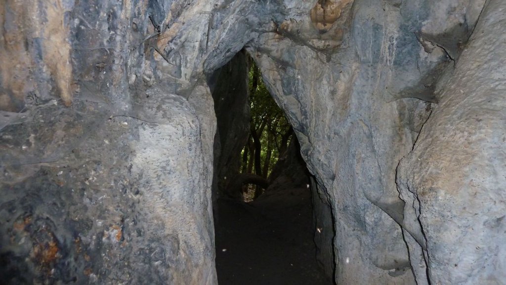 tuny_juillet_2015_143.JPG