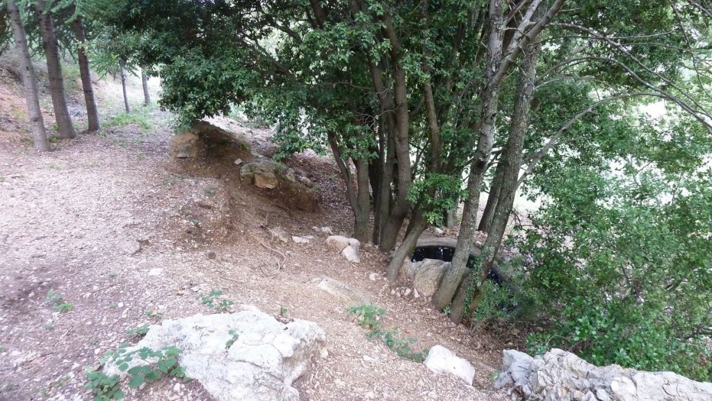 tuny_juillet_2015_161.JPG