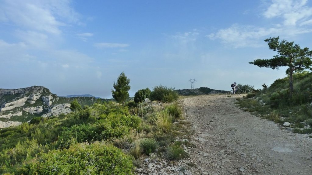 tuny_juillet_2015_187.JPG