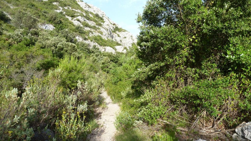 tuny_juillet_2015_197.JPG