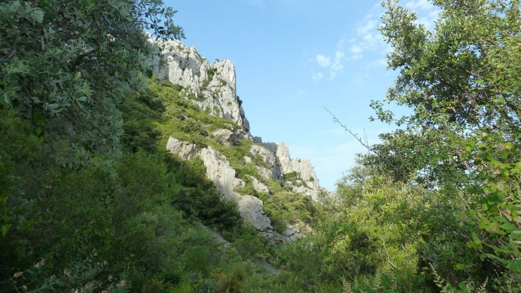 tuny_juillet_2015_201.JPG