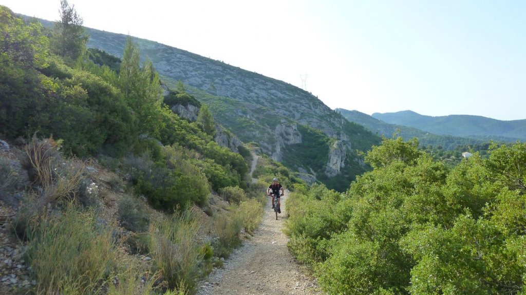 tuny_juillet_2015_227.JPG
