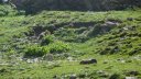 ubaye_2012_j1_041.jpg