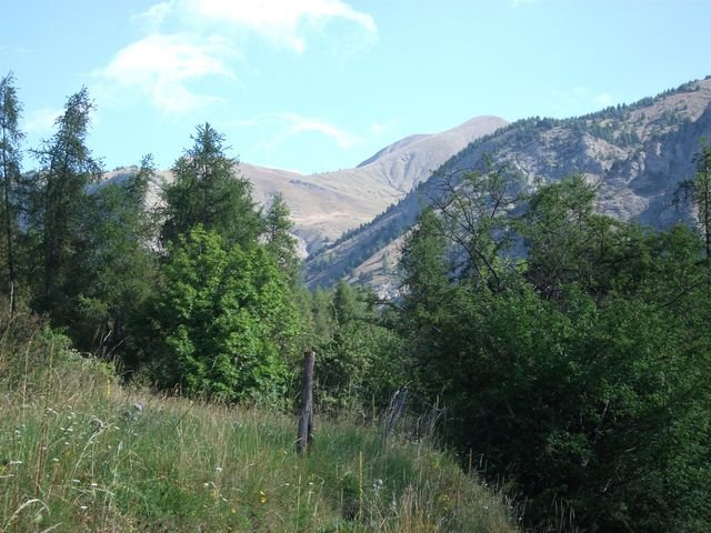 CABANE_DU_PUY_03.jpg