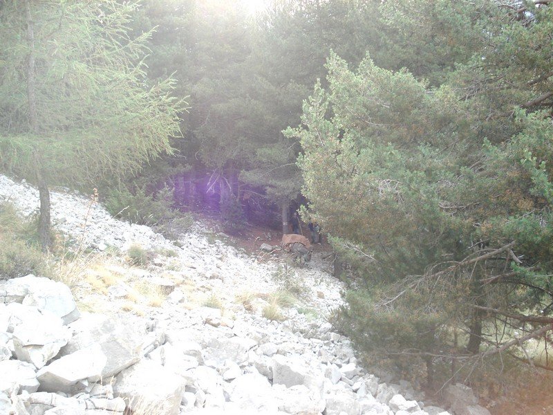Sallanches_281029.JPG