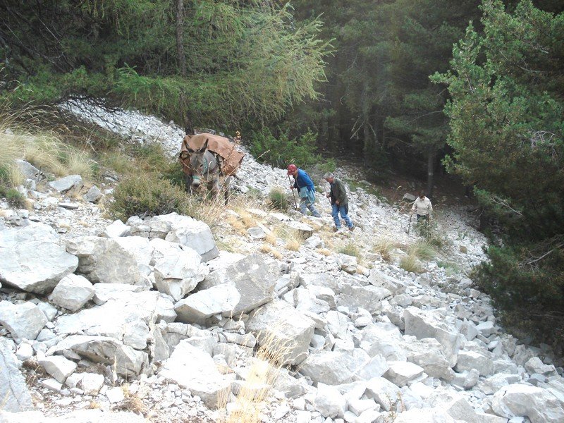 Sallanches_281229.JPG