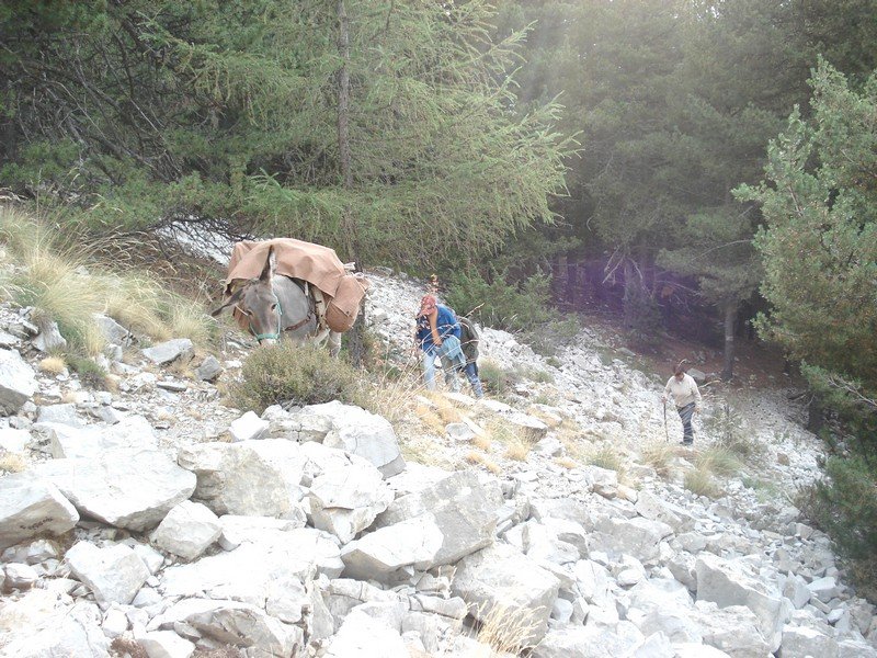 Sallanches_281329.JPG