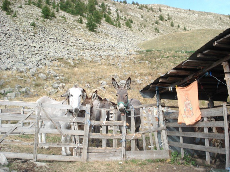 Sallanches_281929.JPG