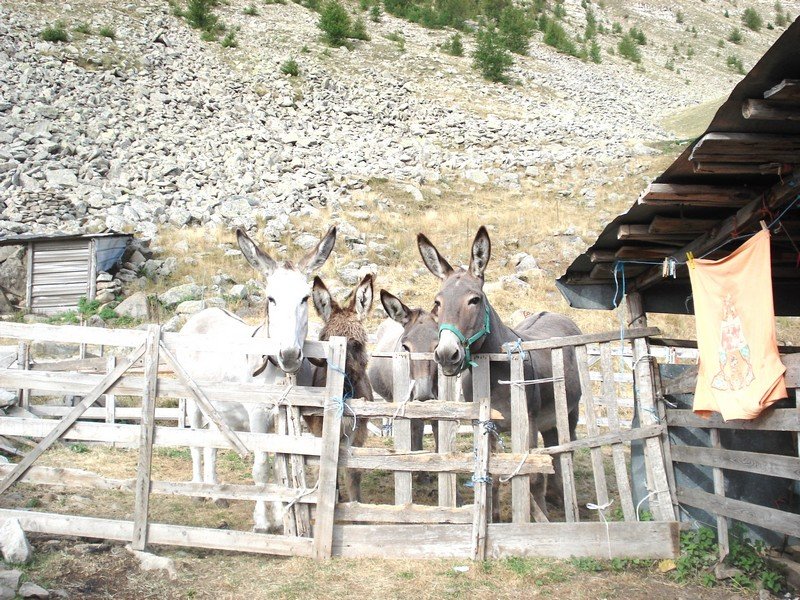 Sallanches_282029.JPG