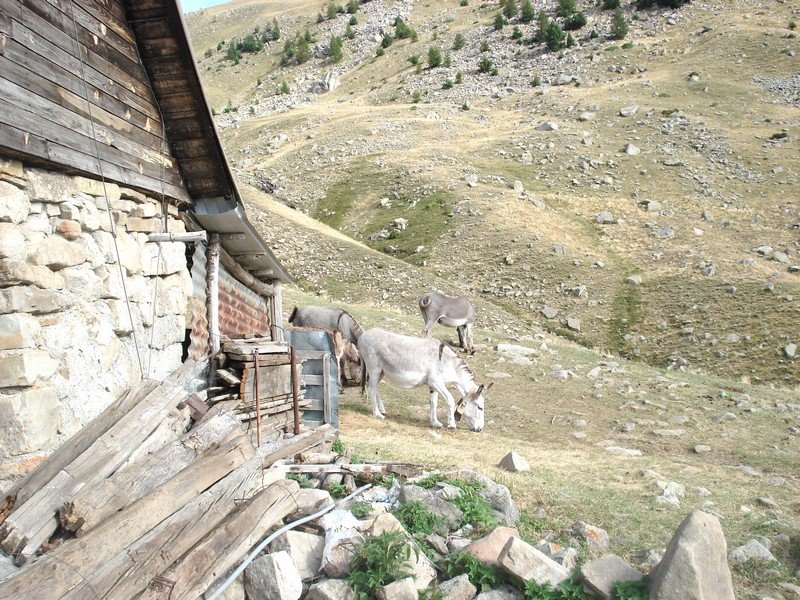Sallanches_282429.JPG
