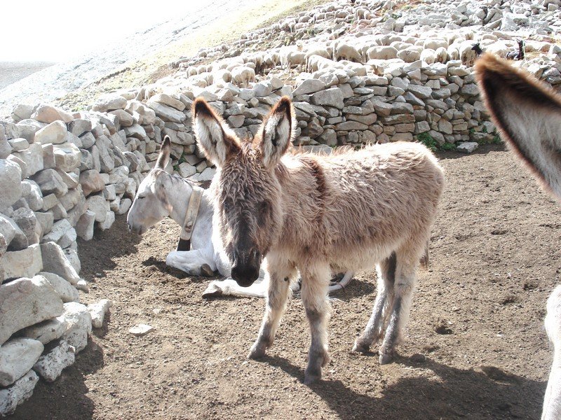 Sallanches_286429.JPG