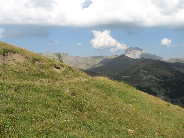 allos_prenier_14.jpg