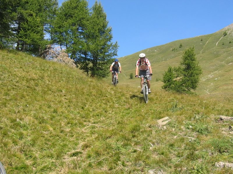 allos_prenier_47.jpg