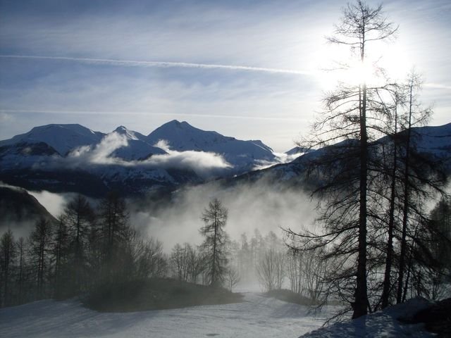 autapie0409_03.jpg
