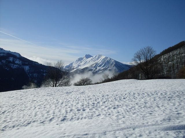 autapie0409_04.jpg