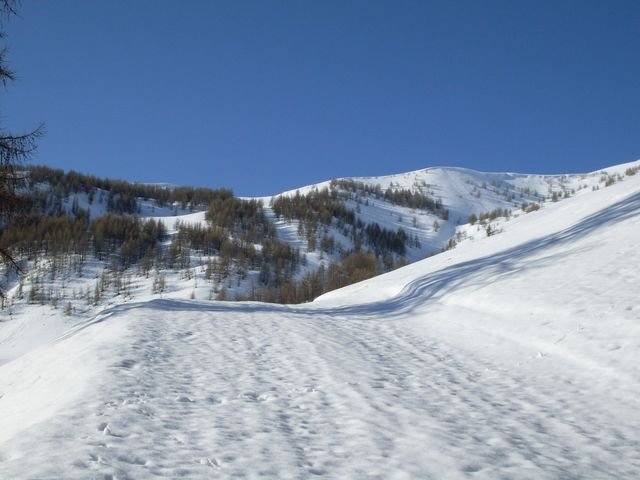 autapie0409_06.jpg