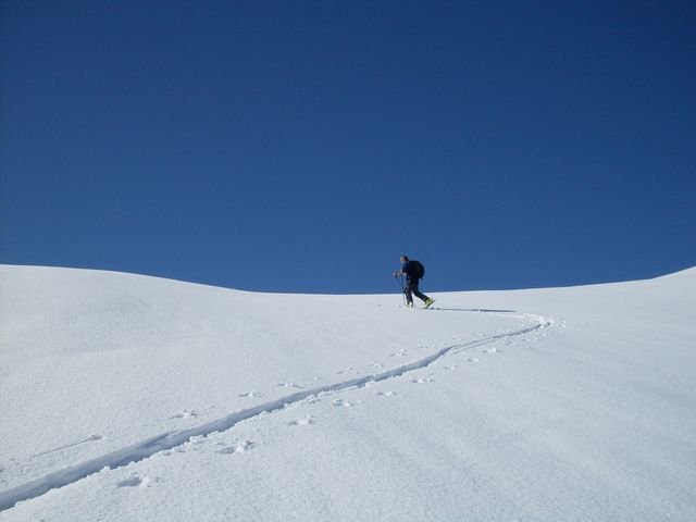 autapie0409_12.jpg