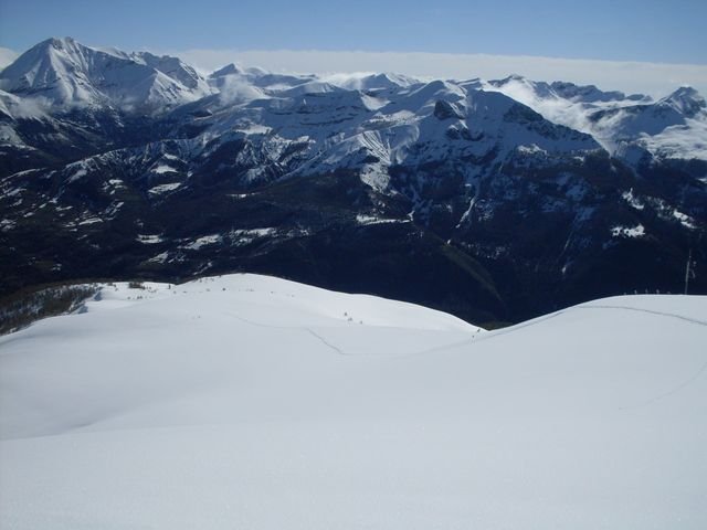 autapie0409_17.jpg