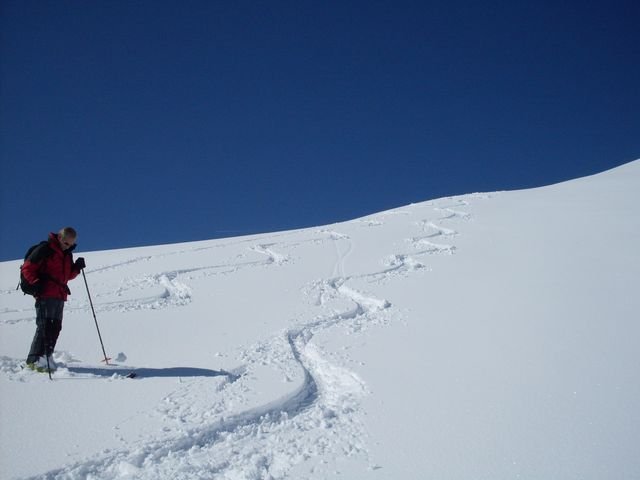 autapie0409_21.jpg
