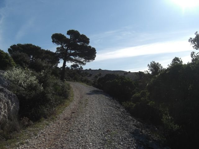 baou_des_4_aures_11.jpg