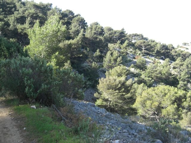 baou_des_4_aures_21.jpg