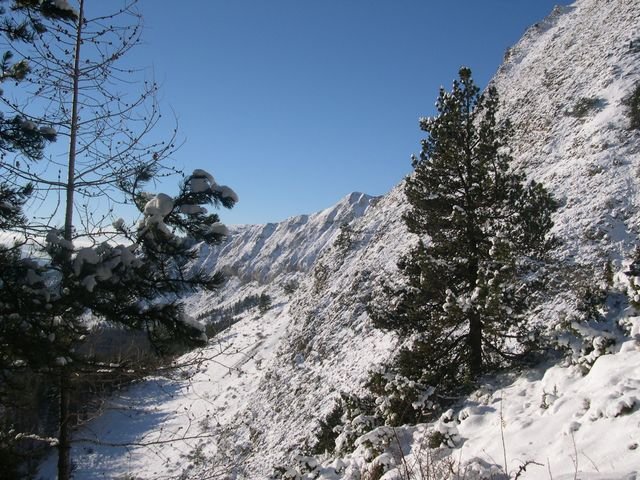 cabane_a_p_hiver_04.jpg