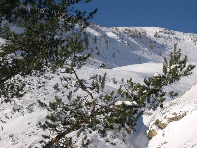 cabane_a_p_hiver_16.jpg
