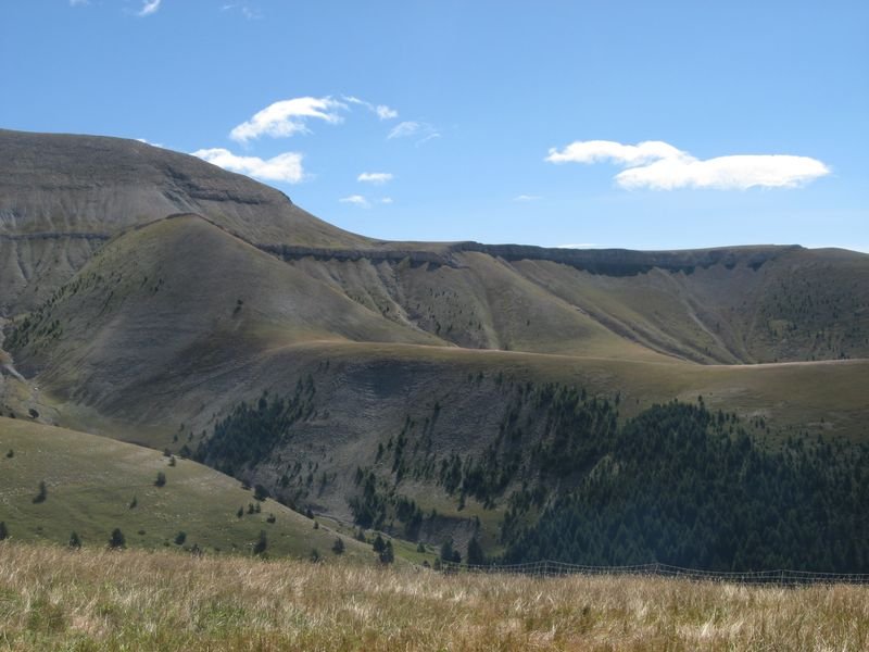 cabane_vieille_48.jpg