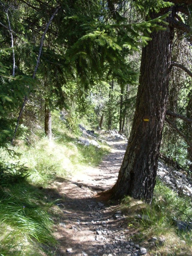 cabanes_du_puy_16.jpg