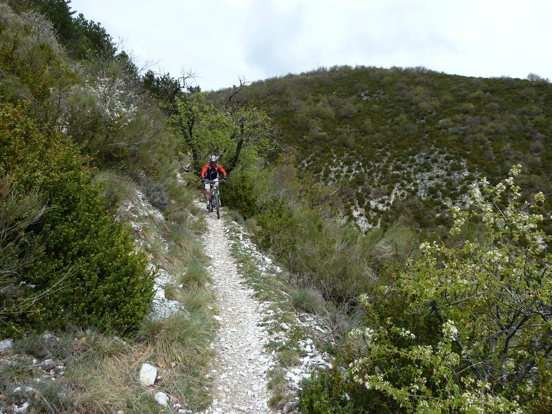 chalvet_avril_2011_34.jpg