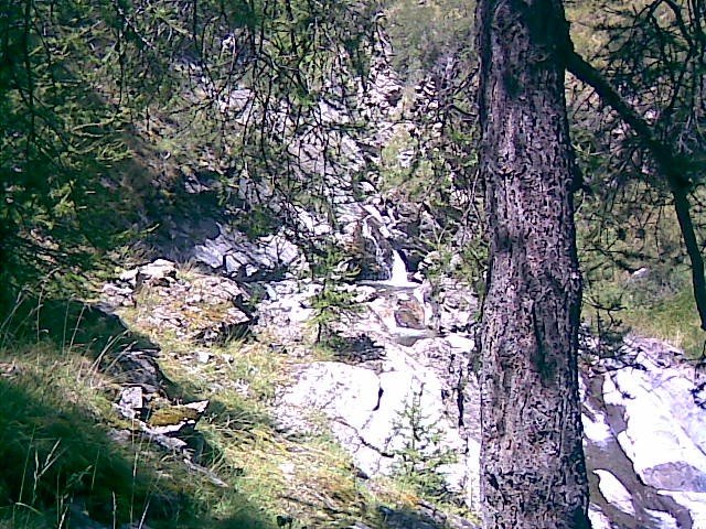 chasse_rougnouse.jpg