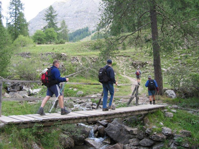chasse_rougnouse_281329.jpg