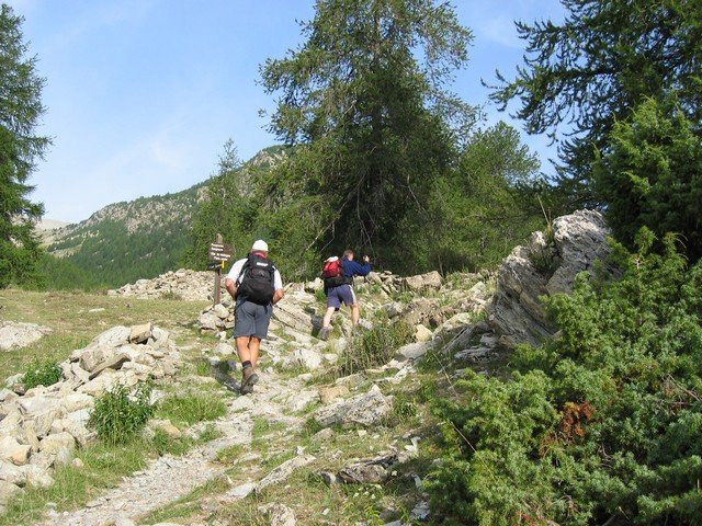 chasse_rougnouse_281529.jpg