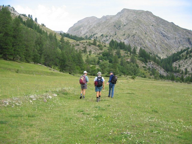 chasse_rougnouse_281929.jpg